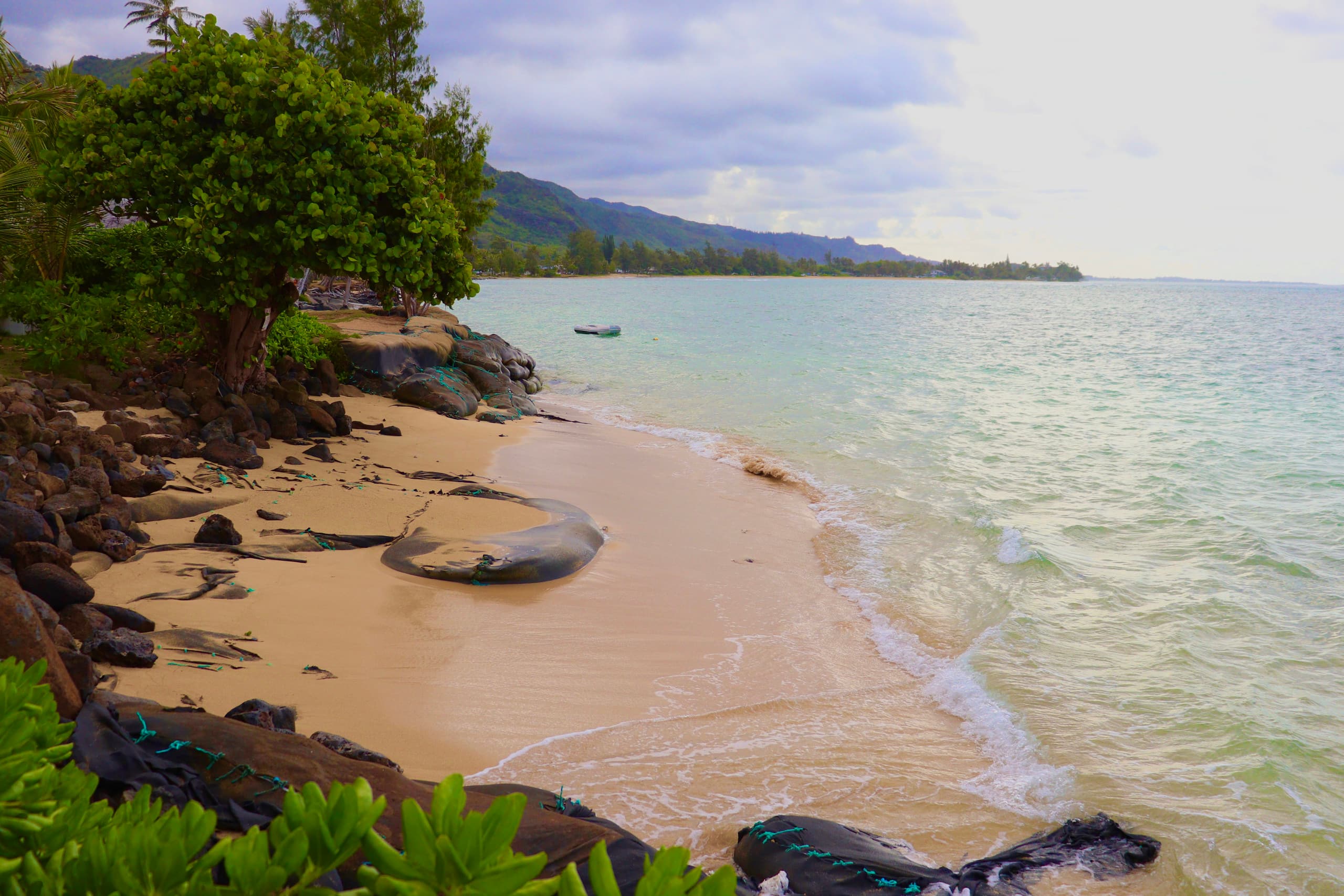 Home in Hauula · ★4.95 · 3 bedrooms · 6 beds · 2 private baths - Image 25