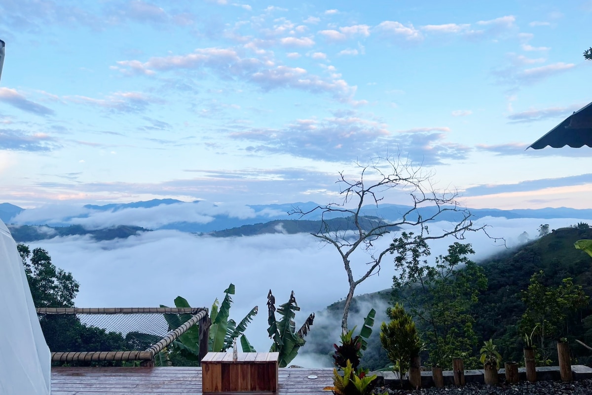 A panoramic view of rolling mountains and a sea of clouds is captured from a wooden deck. Light blue skies complement the scene, while lush greenery and a leafless tree frame the foreground, creating a serene and inviting atmosphere.