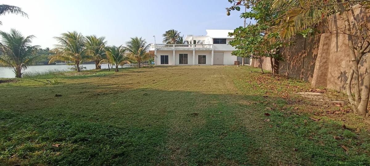 A spacious green lawn is framed by palm trees, leading to a modern two-story house. Large glass doors provide views of the outdoor area, while sunlight illuminates the scene. The surrounding natural landscape includes a body of water in the background.