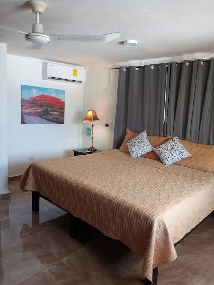 Dhoma Bruna. Hyrje e drejtpërdrejtë në çati 
Dhomë e bollshme dhe e rehatshme, banjë private, pamje nga parku dhe kisha e San Sebastianit. Ka të gjitha shërbimet: A/C, Smart TV, Ventilator dhe WiFi me shpejtësi të lartë.
