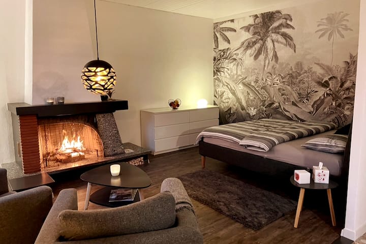 חלל מגורים/שינה פתוח דירה Amore