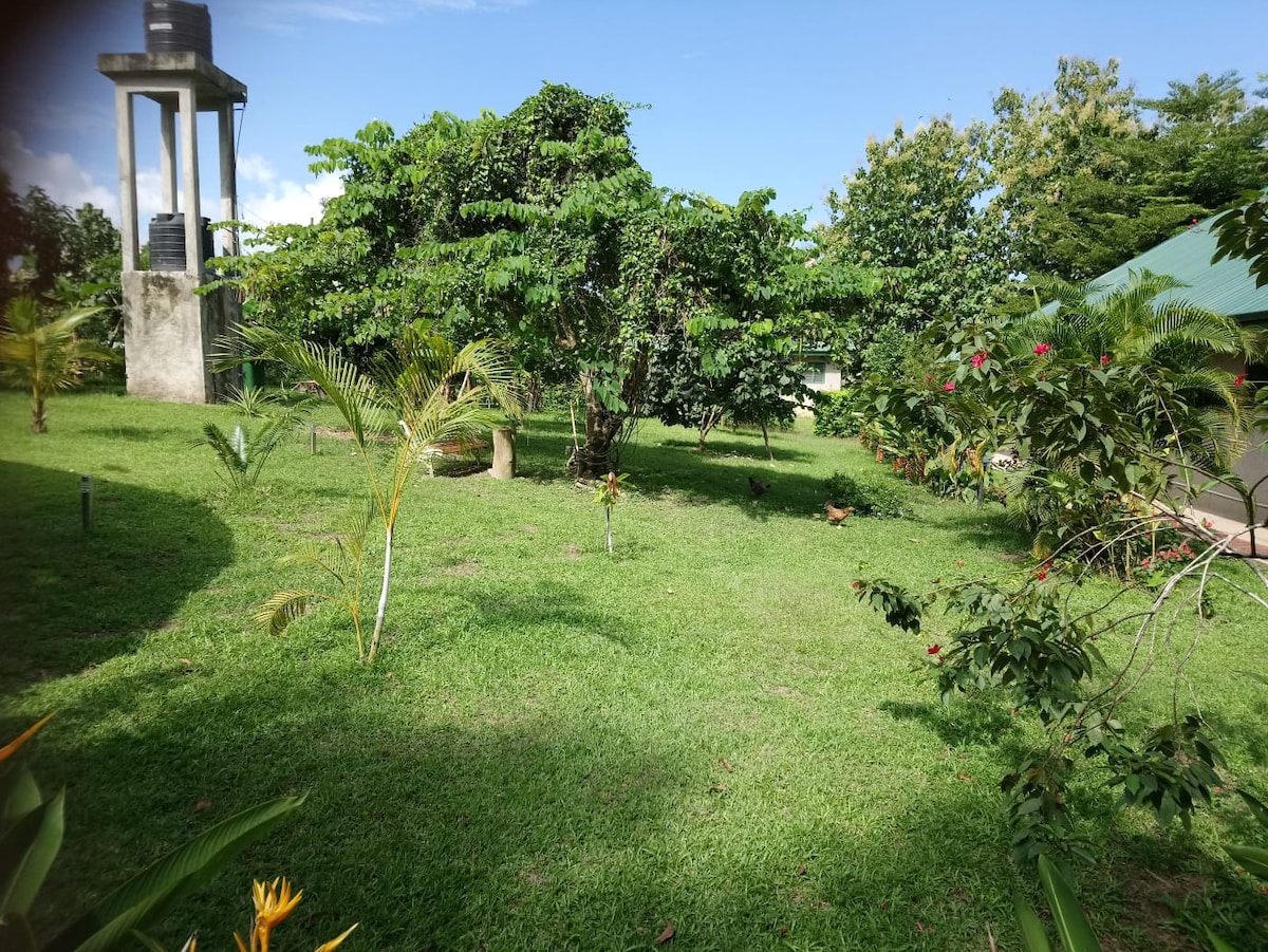 A lush green garden is depicted, featuring a variety of trees and plants. A rustic water tower stands in the background, surrounded by vibrant foliage. The open space is well-maintained, inviting relaxation and exploration within the tranquil environment.