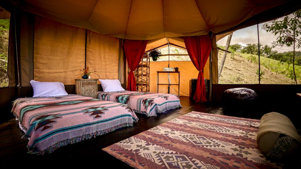 An interior view of a luxury tent displays two twin beds dressed in vibrant blankets, with organic sheets visible. A patterned rug lies on the dark wooden floor. Natural light enters through screened windows, complemented by decorative plants positioned on a nearby table.