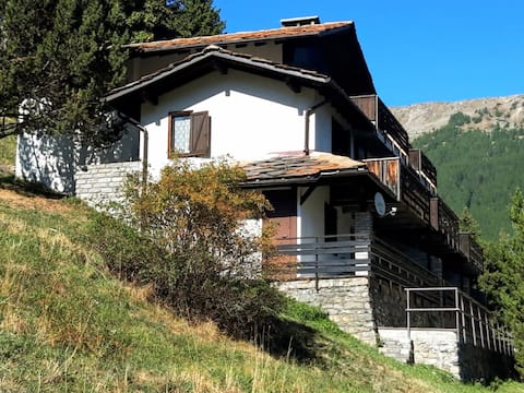 Apartment with terrace and garage (CIR VDA 0015)