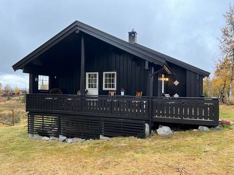 Cheerful cottage on Golsfjellet west - Auenhauglie