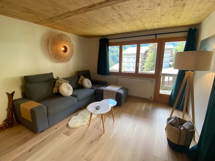 superbe appartement ski in / ski out Apartments for Rent in Grimentz