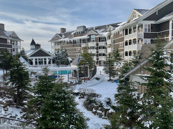 Allegheny Springs Snowshoe Corner 2bd Condo Condominiums for Rent in