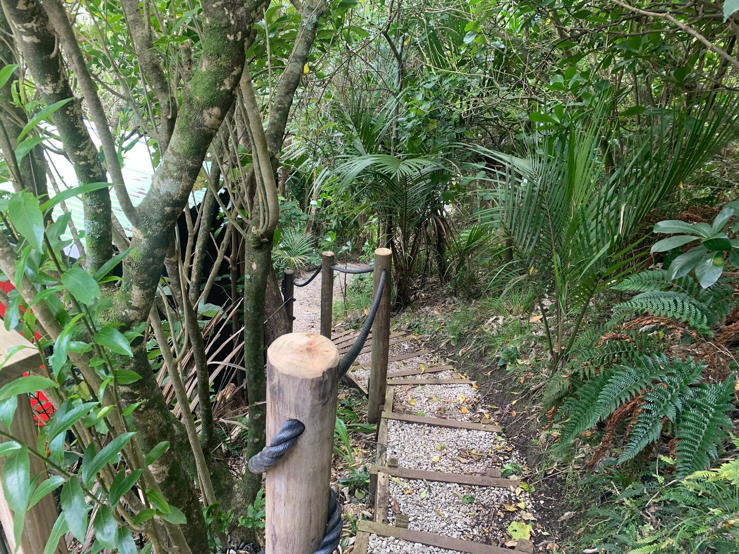 Tree House Karekare Valley 2
