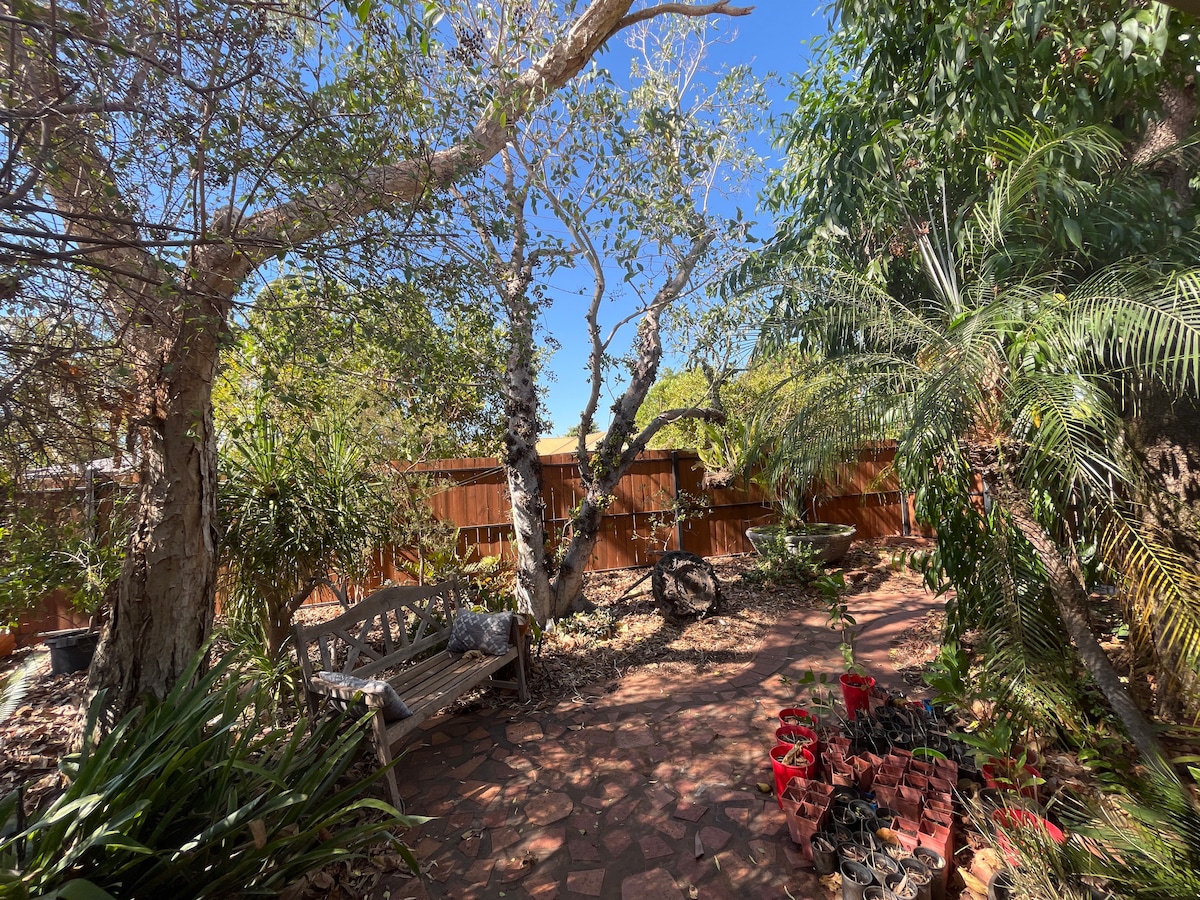 A tranquil outdoor space is surrounded by lush greenery and tall trees. A wooden bench sits on a stone path, inviting relaxation. Various potted plants are positioned throughout the area, adding to the garden's natural beauty under a clear blue sky.