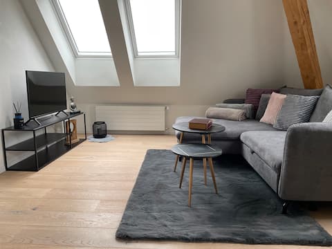 Top Airbnb: Cozy & central apartment in the city of Zurich in Altstetten