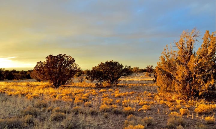 2.5 Acre Camp Archer (Named After Our Dog) - Grand Canyon nasjonalpark