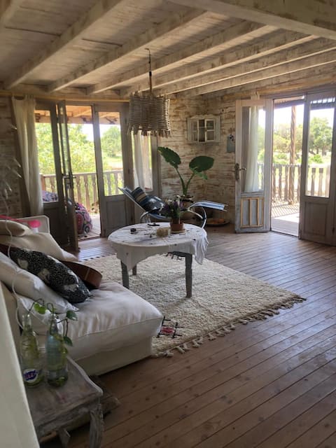 Wooden house on stilts(3 km from sidi kaouki)