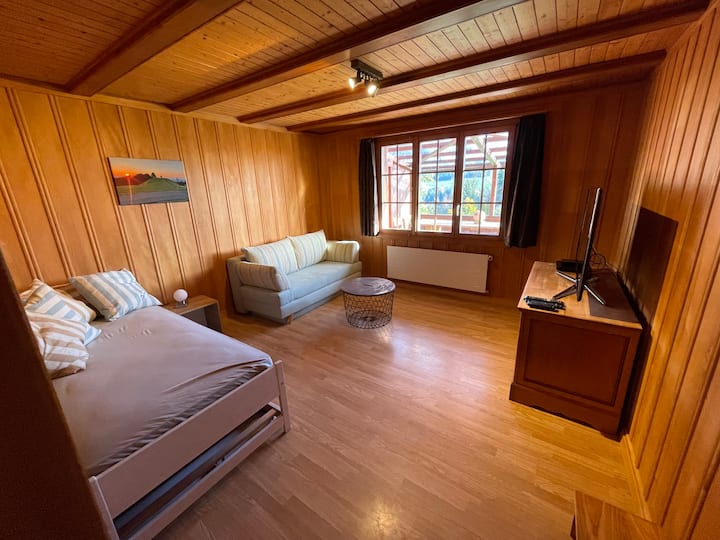 the living room can be used as a TV/ game room and/or as a bedroom with two beds (190*90cm).