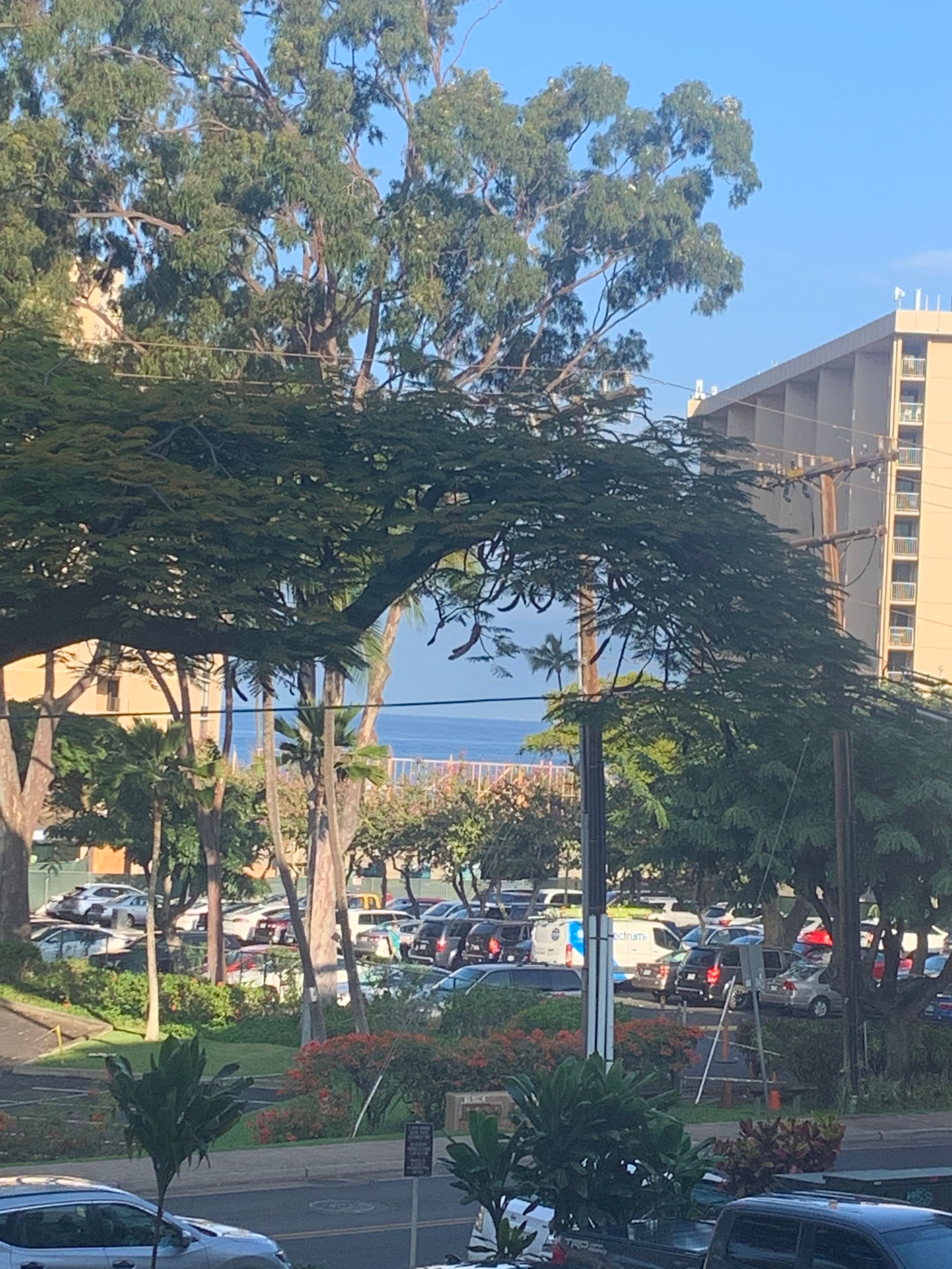 Condo in Lahaina · ★4.94 · 1 bedroom · 2 beds · 1 bath - Image 8