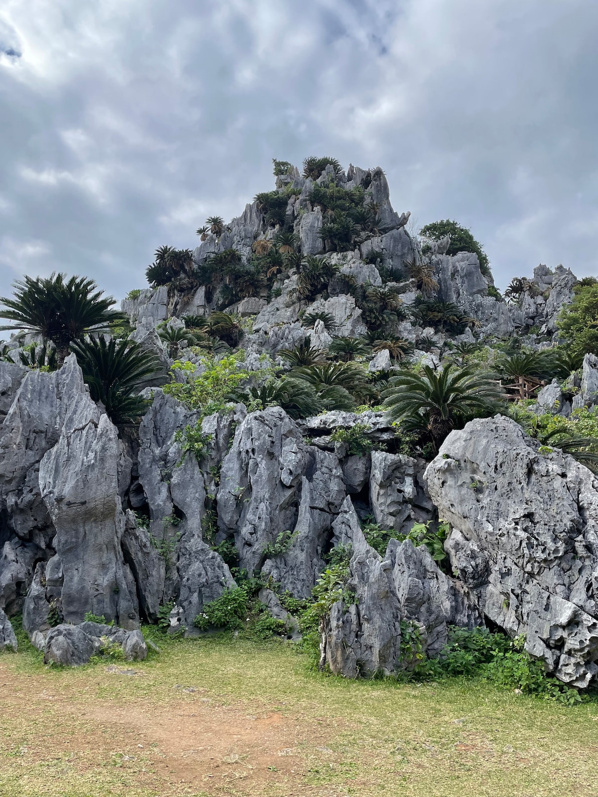 A rugged limestone formation rises prominently, surrounded by lush vegetation. Various palm plants and greenery cover the rocky surface, while the cloudy sky looms above, adding to the scenic backdrop. An open grassy area is visible in the foreground, leading up to the formation.