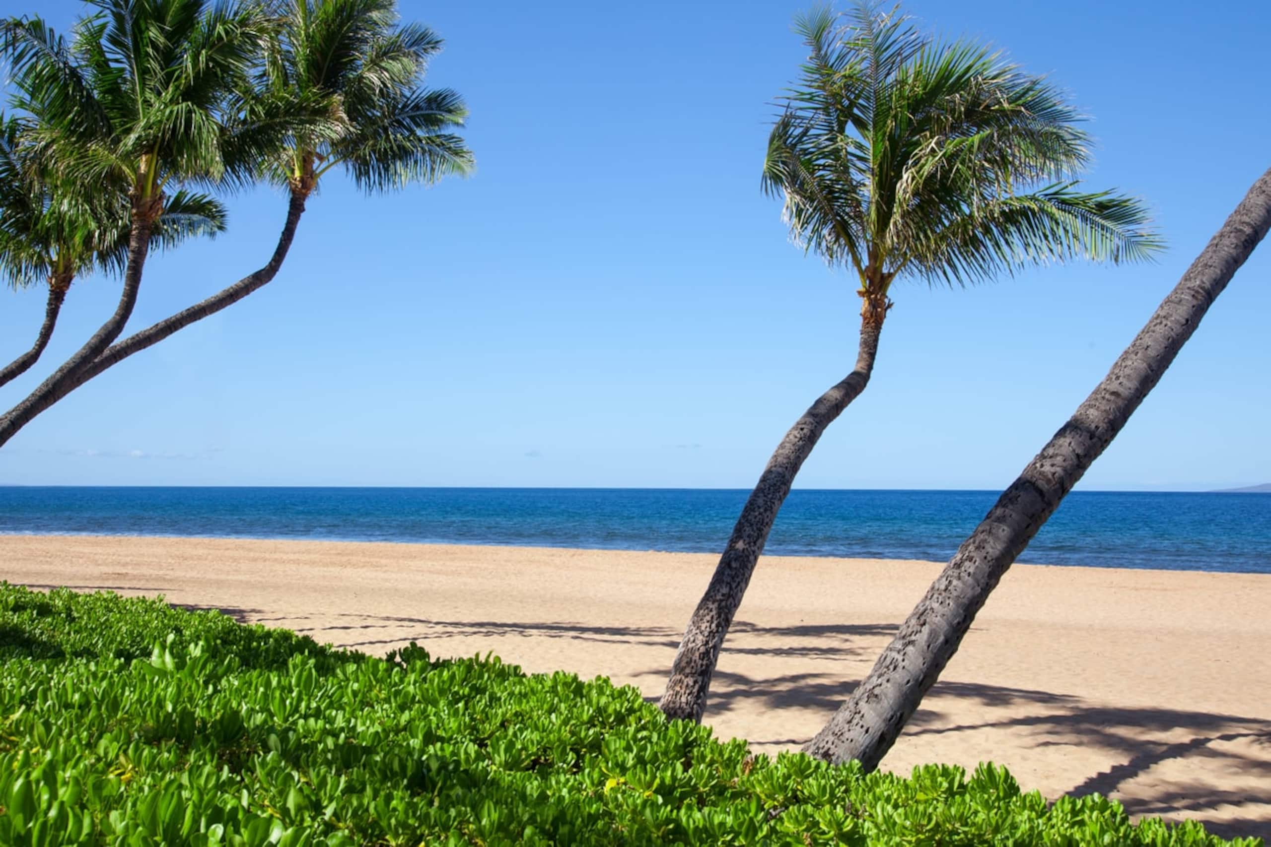 Condo in Lahaina · ★5.0 · 2 bedrooms · 4 beds · 2 private baths - Image 40