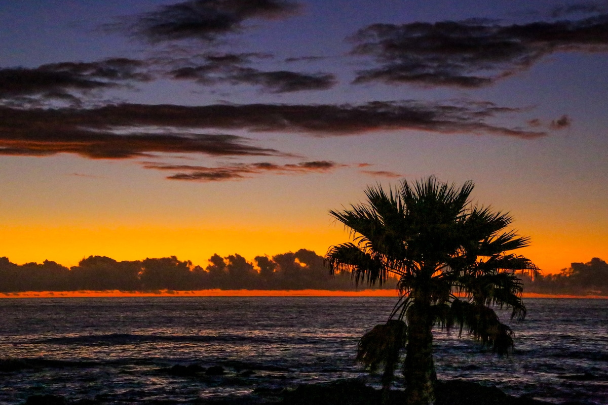 A silhouette of a palm tree stands against a vibrant sunset, with hues of orange and purple reflecting over the ocean. Soft waves are visible in the foreground, enhancing the tranquil coastal scene.