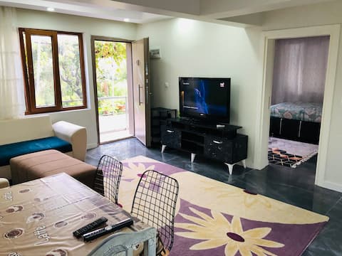 Deluxe Apart 2 Everything you need is here