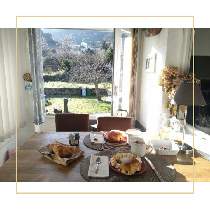 Charming House and Grand Jardin in the Heart of Ceret Houses for Rent in Céret, Occitanie