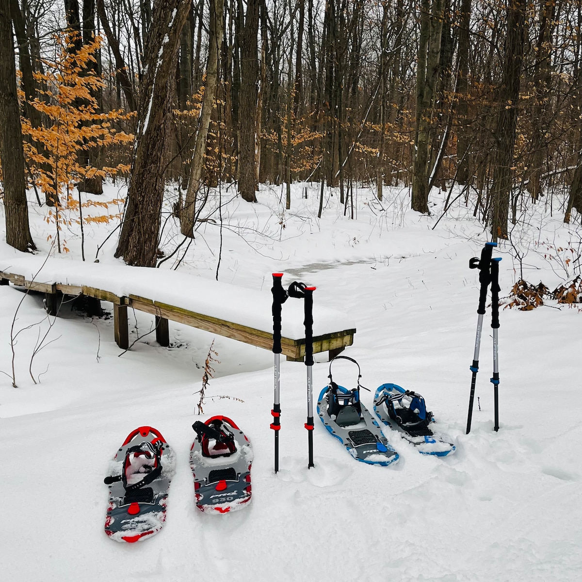 Snowshoes in red and blue are positioned next to trekking poles, resting on a blanket of fresh snow. A wooden bridge extends over a snow-covered path in a wooded area, with trees accented by remnants of autumn leaves.