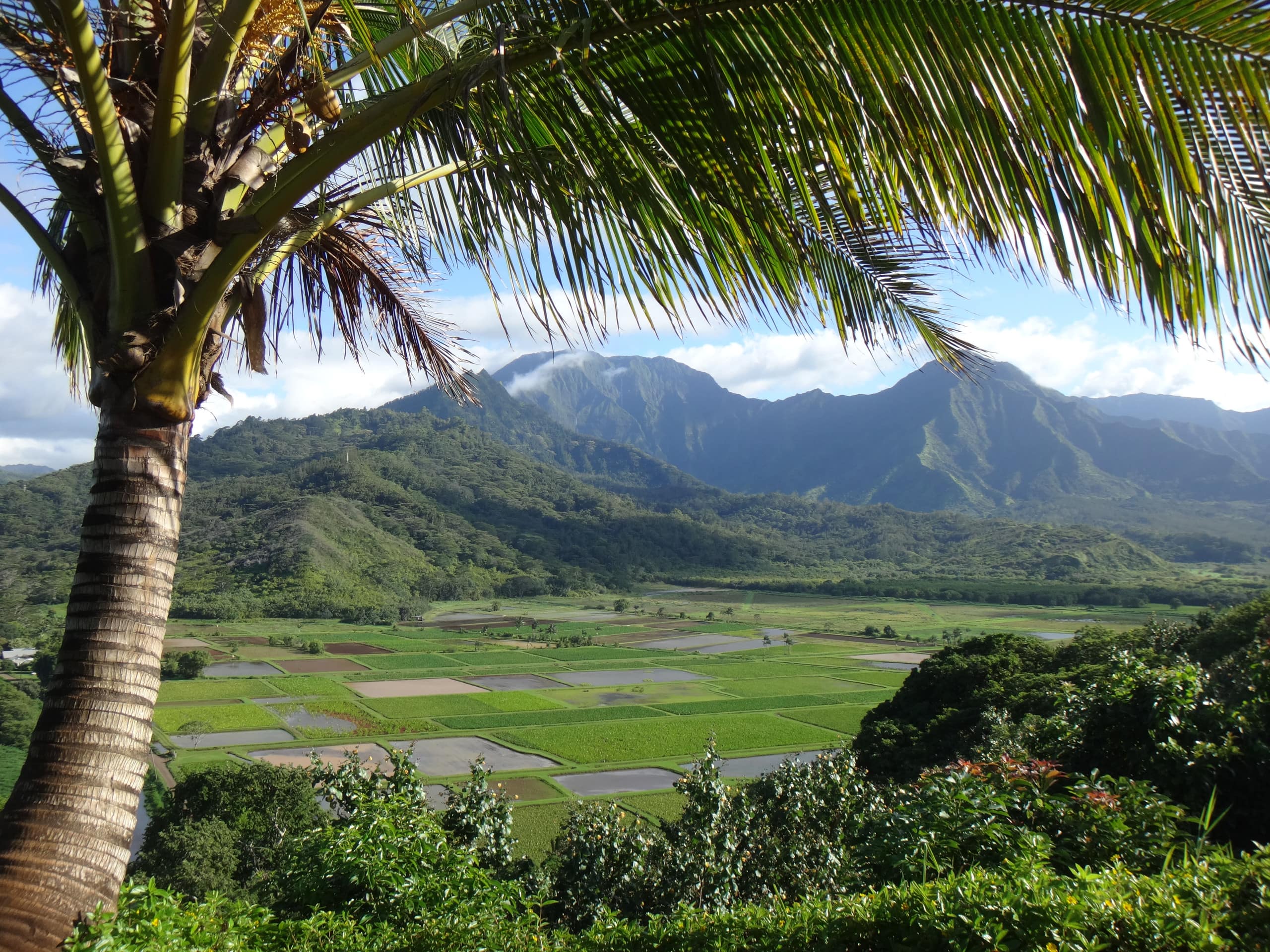 Luxury Nihilani North Shore Condo 2bd/2ba with A/C - Image 14