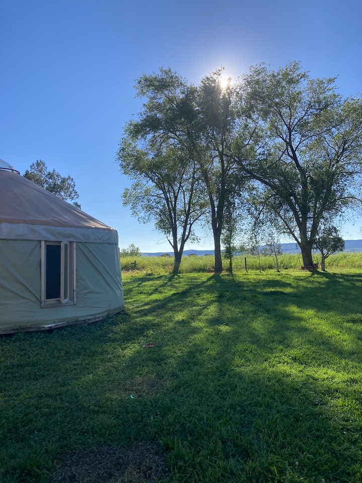 Colorado Yurt Vacation Rentals United States Airbnb