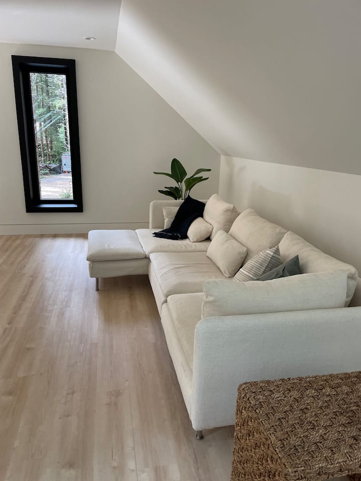 50” smart tv and comfy couch for movie nights