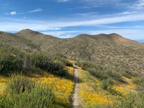 A winding trail meanders through grassy hills adorned with patches of vibrant yellow wildflowers. The surrounding landscape consists of rolling hills under a clear blue sky, punctuated by scattered clouds, creating a serene outdoor environment.