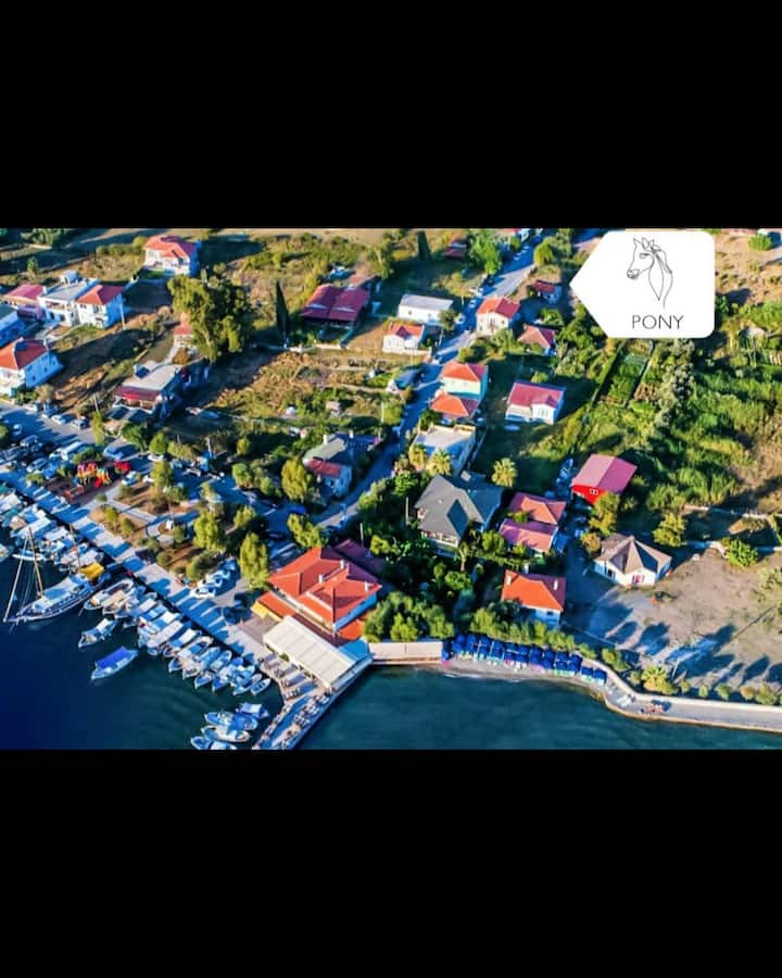 Kaktüs Ev Söğüt (Deniz) - Bozburun
