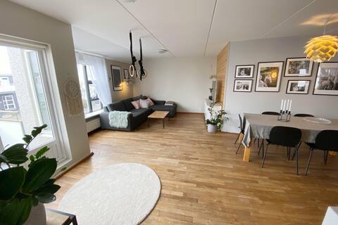 Lovely 3 bedroom apt, close to RVK city center