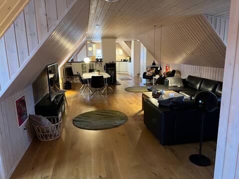 Charming large holiday apartment in the heart of Sæby