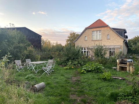 Elderberry. Chickens. Hammock.