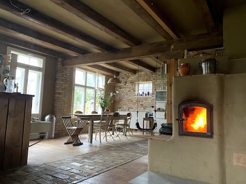 Elderberry. Chickens. Hammock.