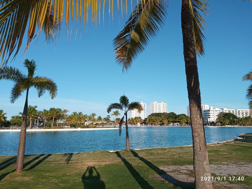 A serene outdoor space showcases a tranquil lagoon surrounded by palm trees. Spacious green lawns offer ample room for relaxation and recreation. In the background, various buildings rise against a clear blue sky, complementing the natural landscape.