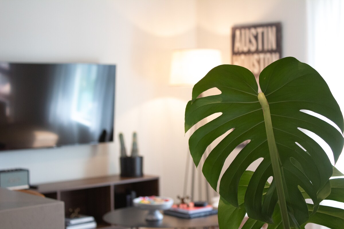 Newly Renovated Modern Condo Zilker Barton Springs