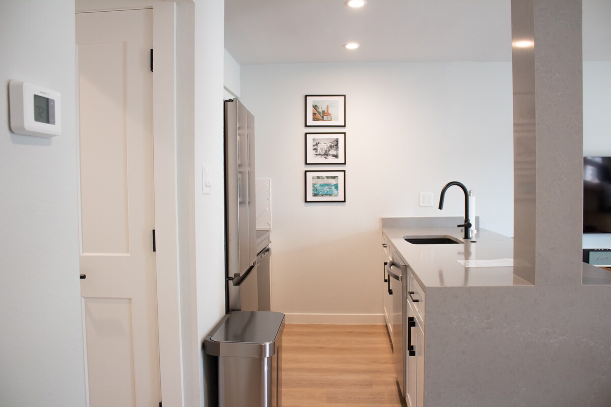 Newly Renovated Modern Condo Zilker Barton Springs