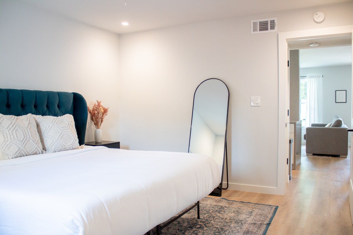Newly Renovated Modern Condo Zilker Barton Springs