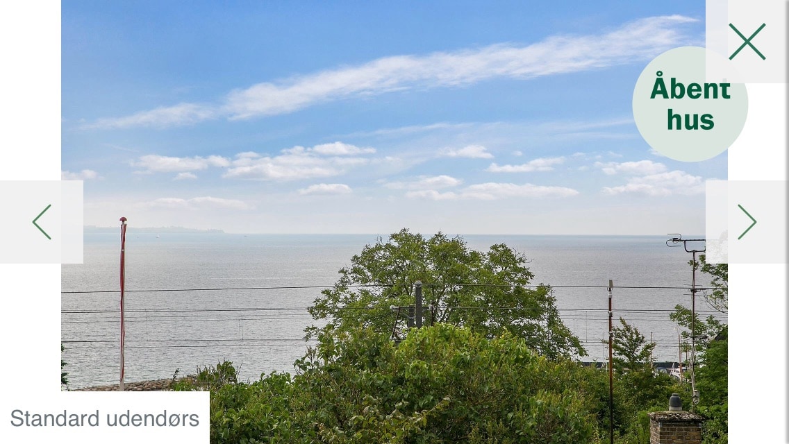 A serene view of the ocean can be seen from a distance, framed by lush greenery and trees in the foreground. The sky is partly cloudy, with soft hues, while the horizon gently meets the water.