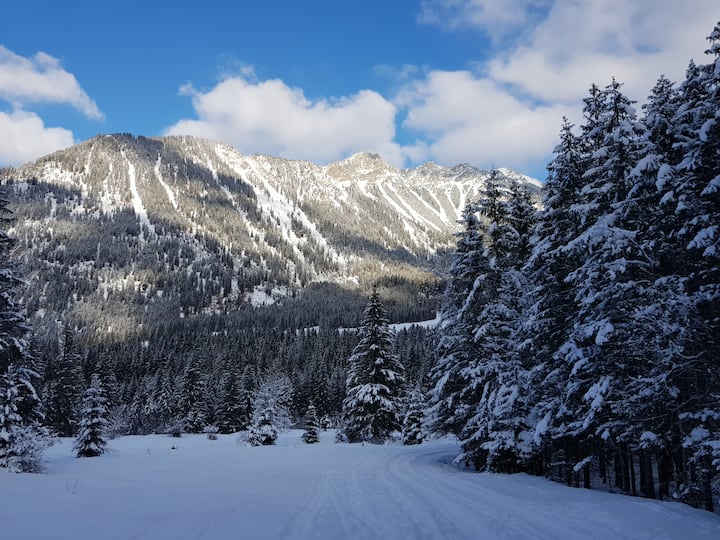 Tiny House - Die Kleinste Mobile Alpenhütte - Immenstadt im Allgäu