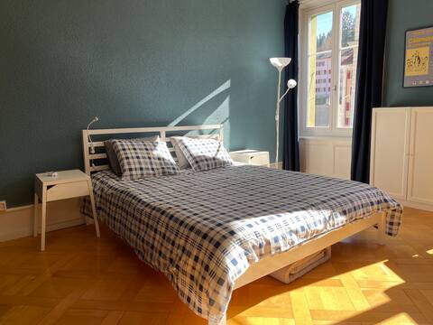 Le Locle: beautiful cozy apartment