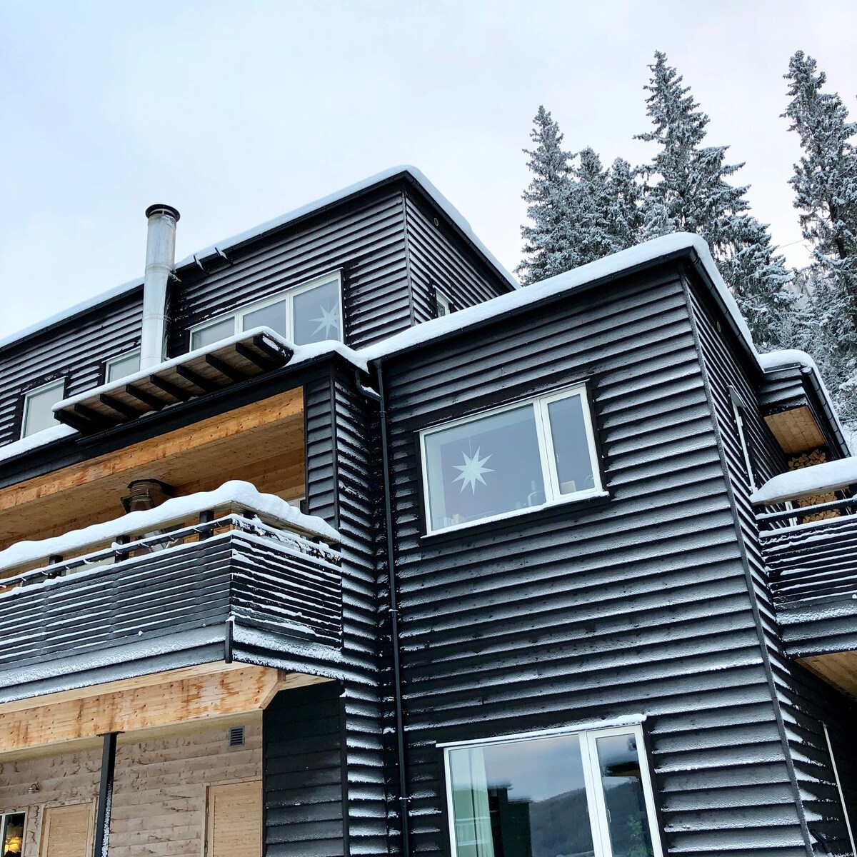 The exterior of a modern wooden house is displayed, featuring a black stained facade and snow-covered balconies. Large windows allow for natural light, while tall trees in the background emphasize the peaceful mountain setting.