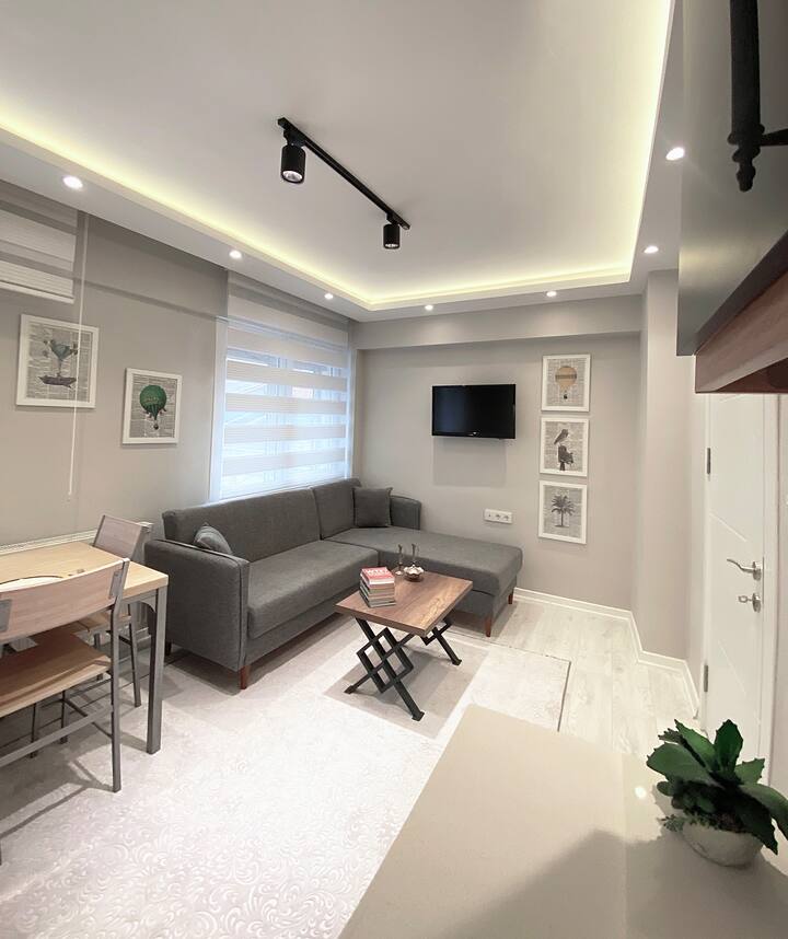 Apartment close to all touristic places in Izmir Apartments for Rent