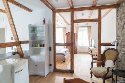 Anno 1894 Old Building Apartment 1 with Style and Comfort