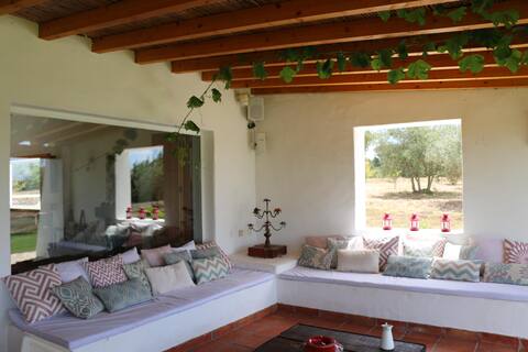 Typical luxury Alentejo hill with pool