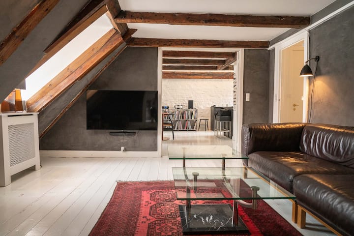 Beautiful Loft In The Heart Of Copenhagen - Copenhagen