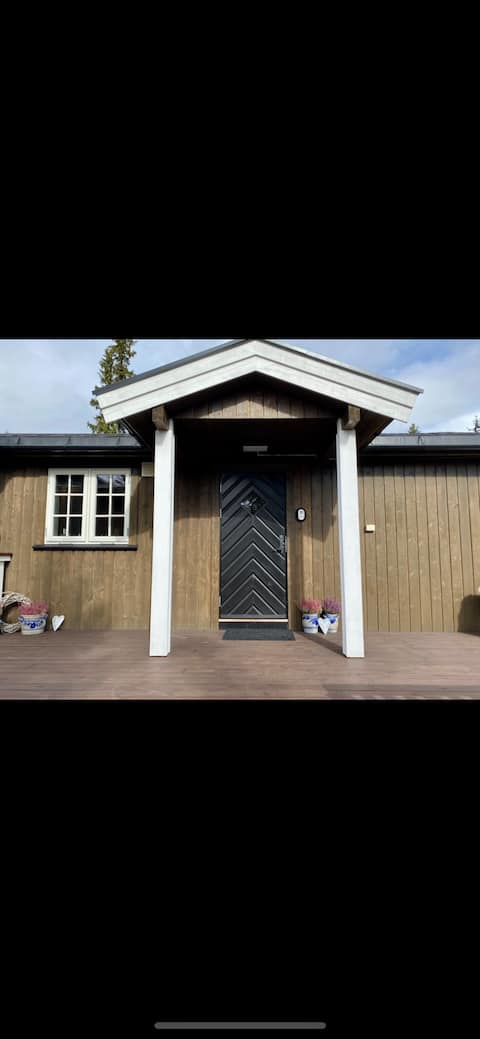 Popular Airbnb listing: Spacious cabin with sauna in Ringsaker
