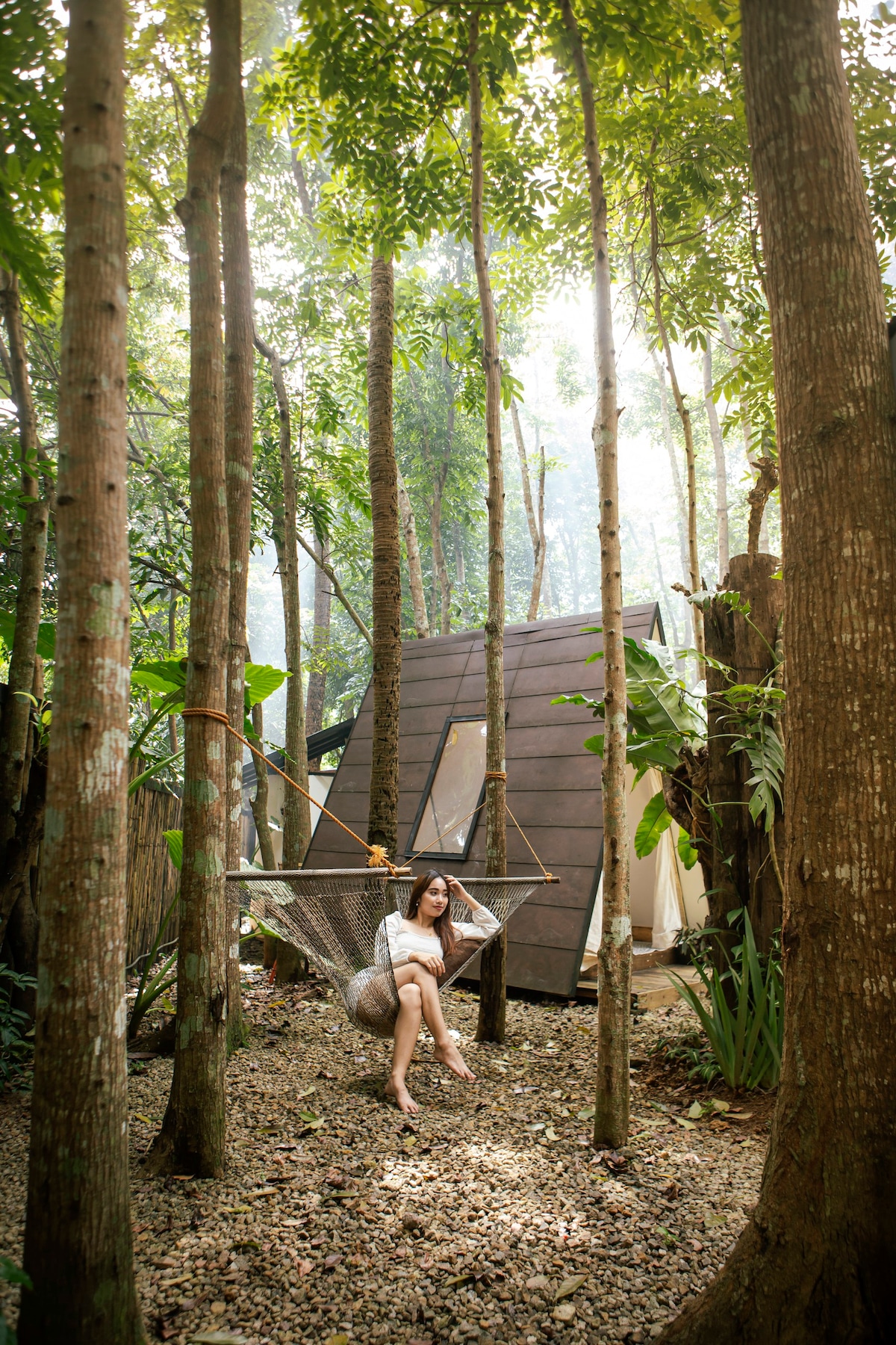 A glamping cabin is nestled among tall trees, surrounded by a serene landscape of natural foliage. A hammock hangs between the trees, creating a peaceful spot for relaxation in this tranquil environment.