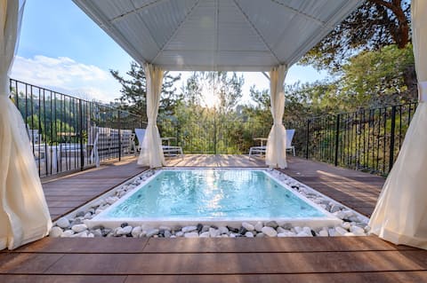 Forest Vacation Mansion - Villa with a stream pool and a view of nature