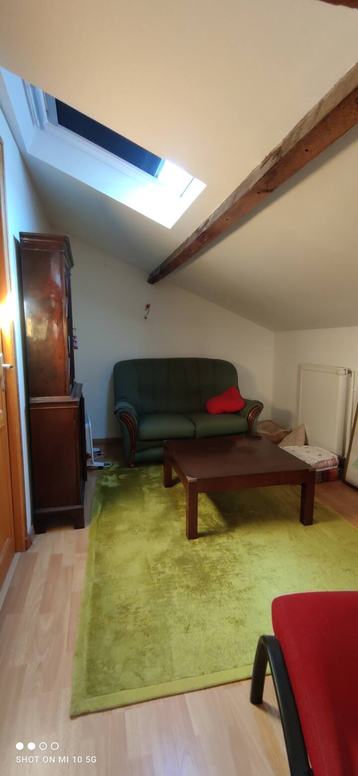 Agréable Maison De Ville Dans Le Tarn - Rabastens