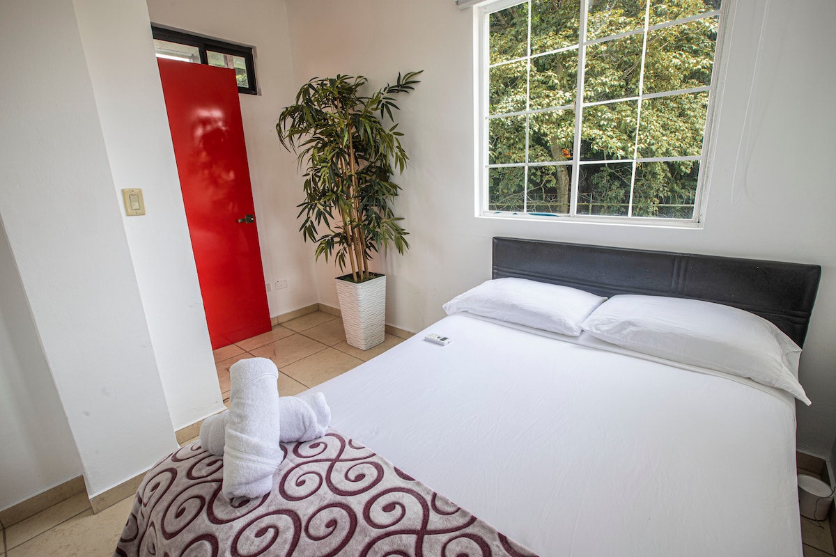 Прекрасен зелен поглед од спалната соба